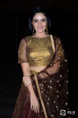 Sreemukhi At Araku Road Lo Movie Audio Launch Photos